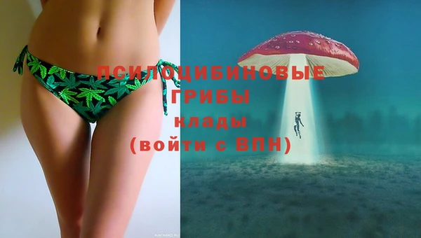марки nbome Гусь-Хрустальный